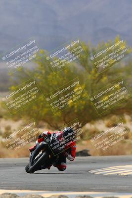 media/Apr-10-2022-SoCal Trackdays (Sun) [[f104b12566]]/Turn 5 Tree of Life (1040am)/